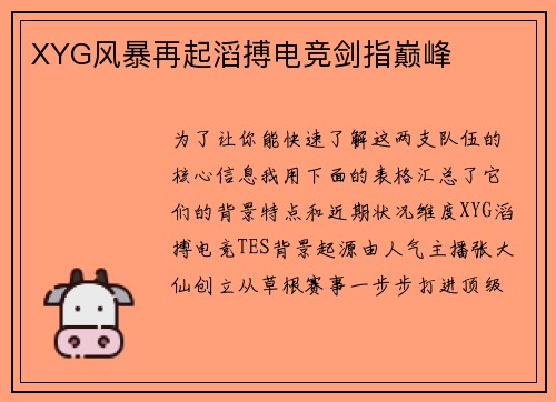 XYG风暴再起滔搏电竞剑指巅峰